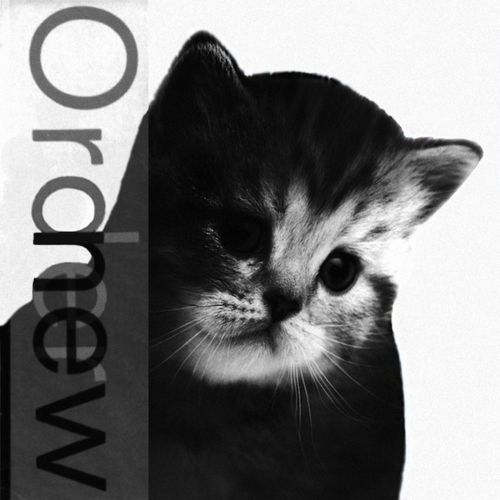 KittenCovers09.jpg