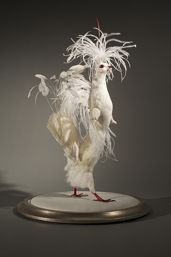 Enrique-Gomez-de-Molina-Taxidermy-Hybrids-7.jpg