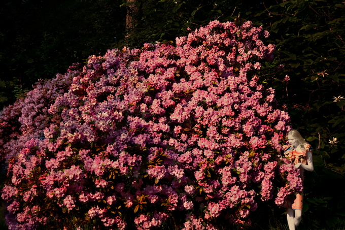 ErikMadiganHeck08.jpg