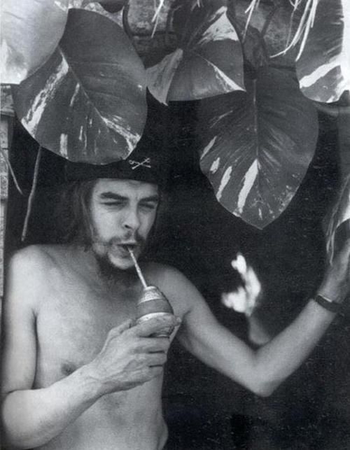 Che Guevara again drink mate bombilla.jpg