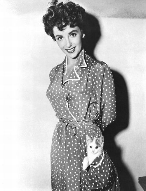Elizabeth Taylor with kitty in pocket.jpg