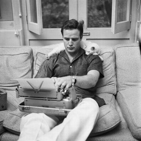 Marlon Brando with cat.jpg