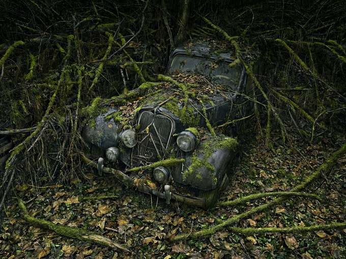 ParadiseParking02.jpg