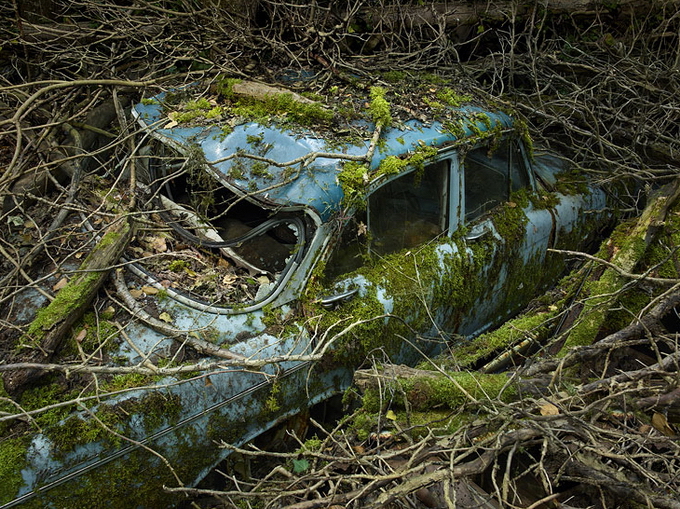 ParadiseParking10.jpg