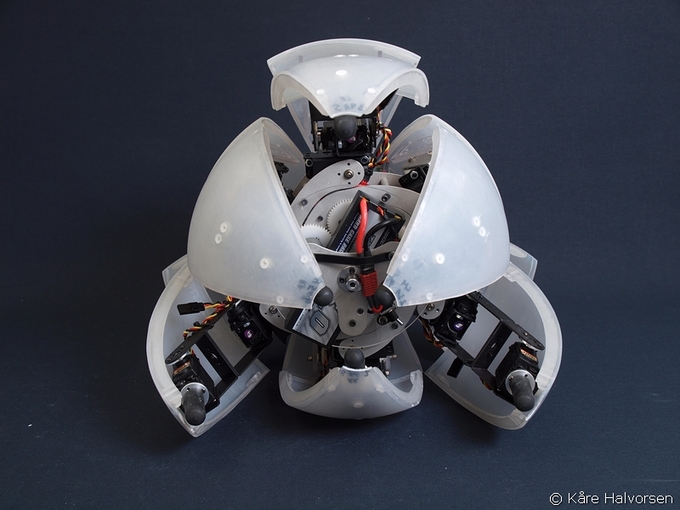 MorpHex089.jpg