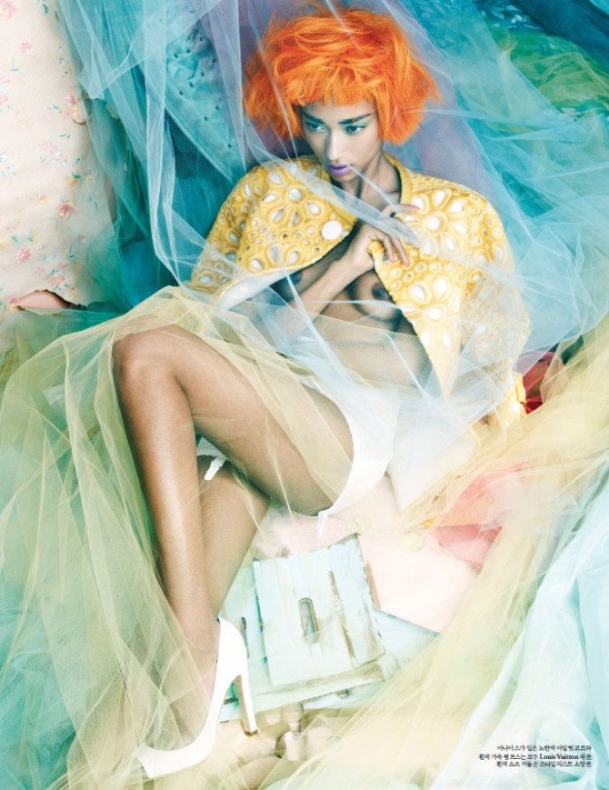w-korea5.jpg
