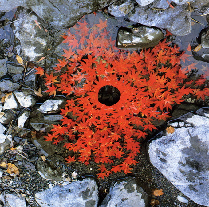 andygoldsworthy22.jpg