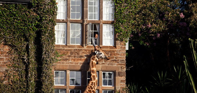 GiraffeManor3.jpeg
