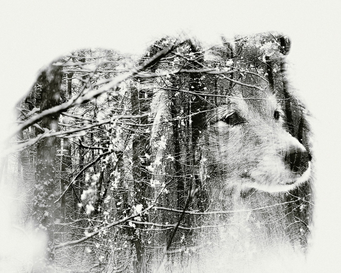 ChristofferRelander04.jpg