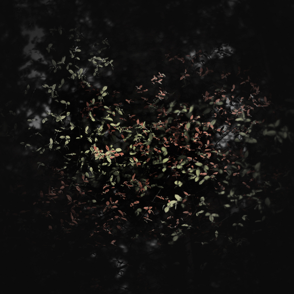 JurgenHeckel09.jpg