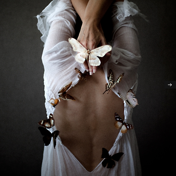 Бабочки Emmanuelle Brisson