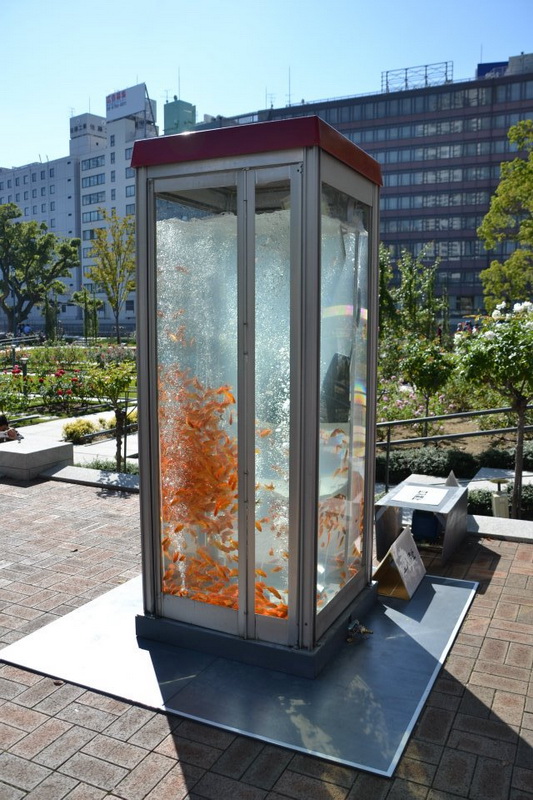 kingyobufishtankphonebooth_1.jpg