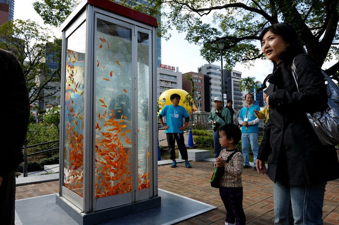 kingyobufishtankphonebooth_4.jpeg