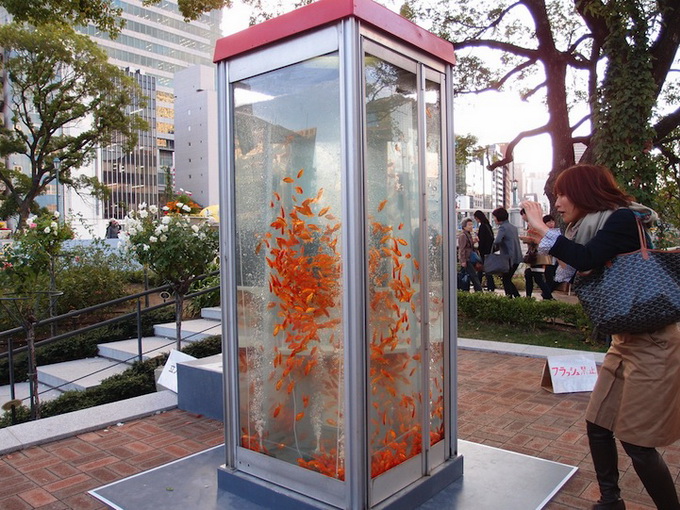 kingyobufishtankphonebooth_6.jpeg
