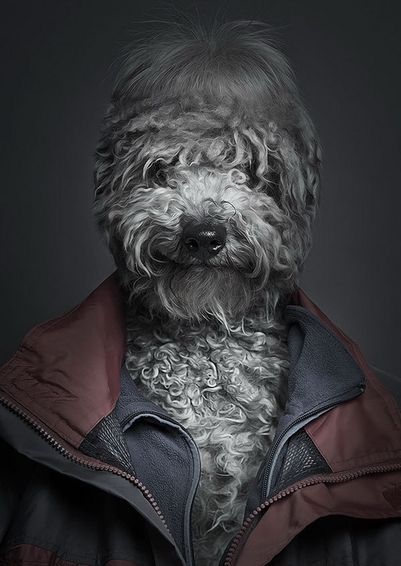 Sebastian-Magnani-UnderDogs-_1.jpg