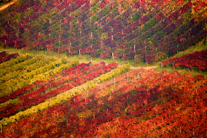 FrancescoRiccardoIacomino12.jpg