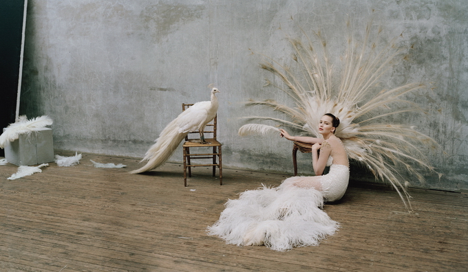 TimWalker21.jpg