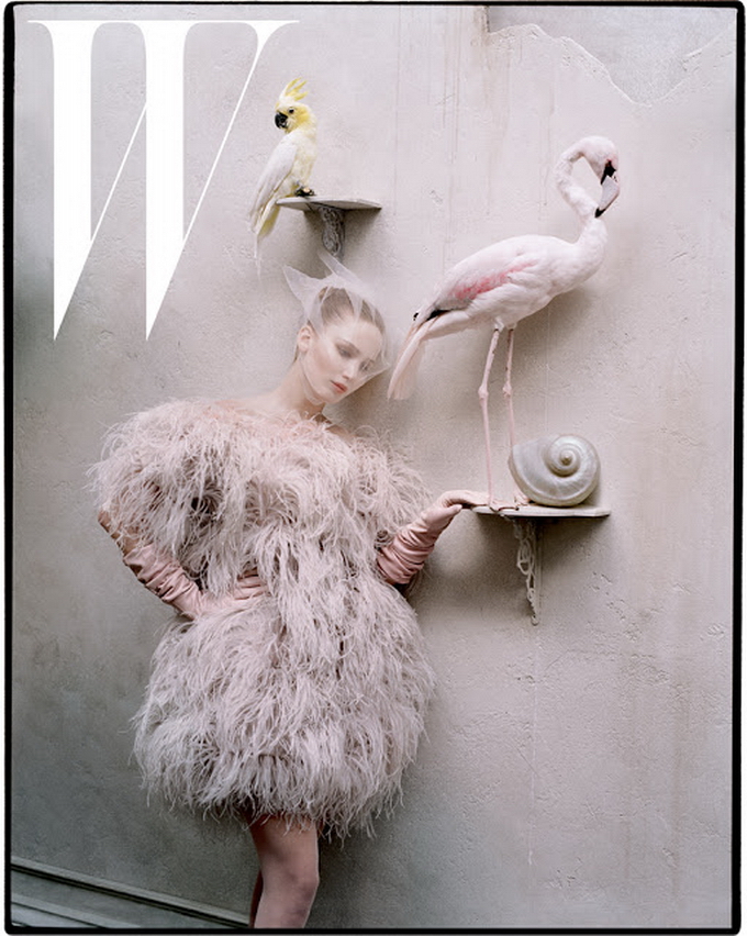 TimWalker34.jpg