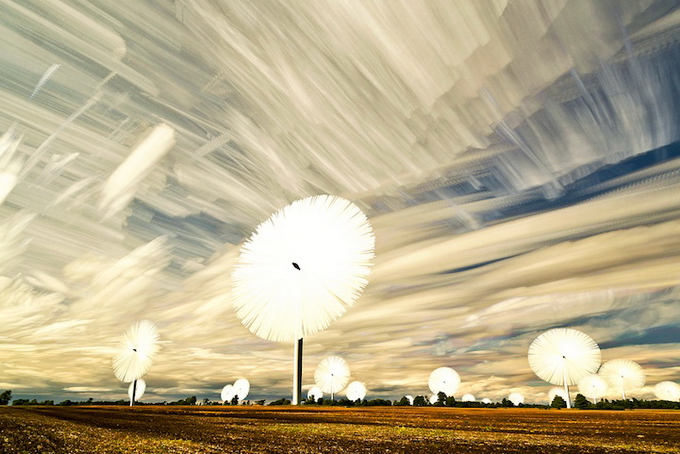 MattMolloy01.jpg
