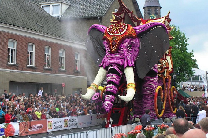 BloemencorsoZundert_02.jpeg