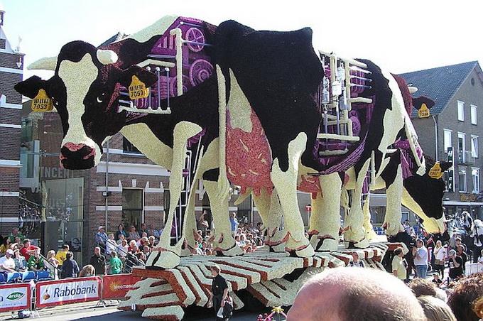 BloemencorsoZundert_04.jpeg