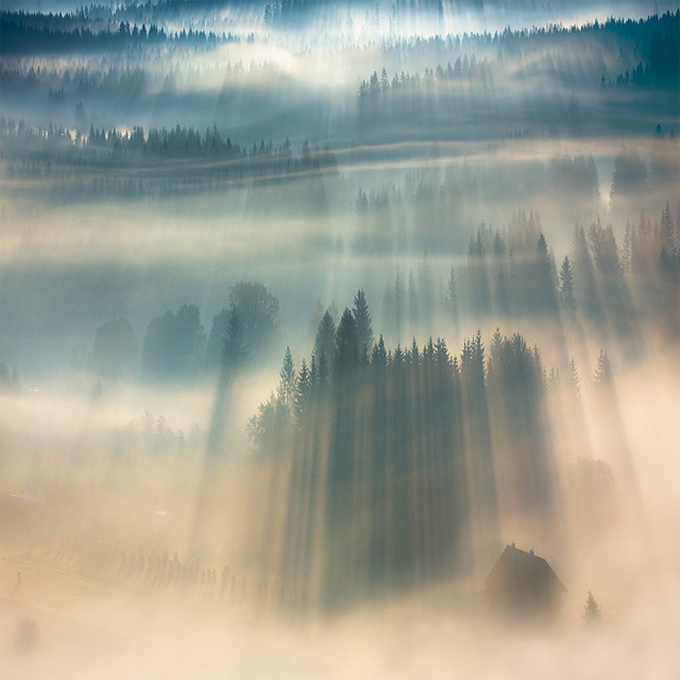 Fog-Landscapes2-640x428.jpg
