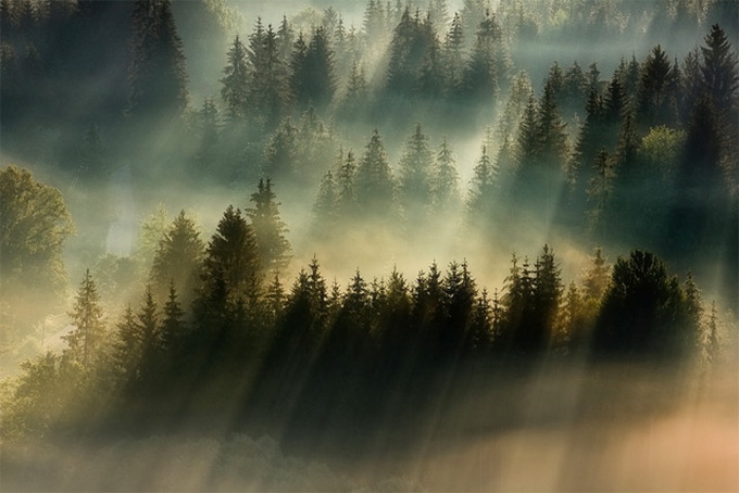 Fog-Landscapes2-640x431.jpg