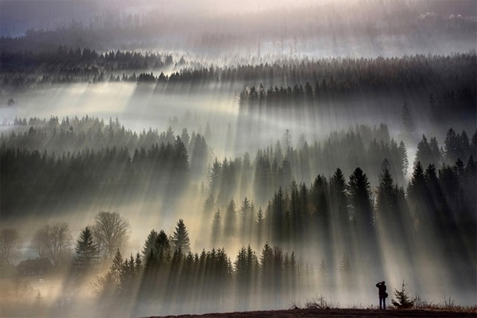 Fog-Landscapes2-640x432.jpg