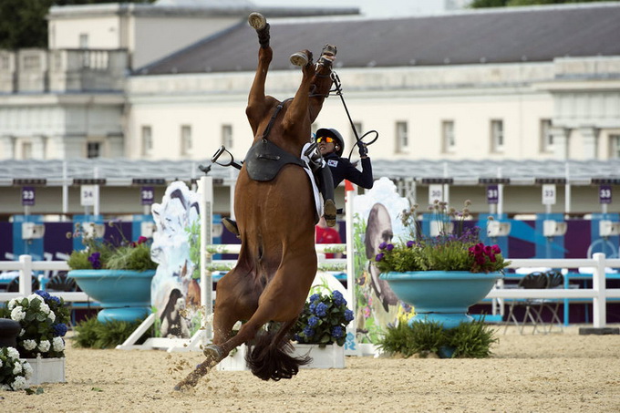 AFP-Pictures-Of-The-Year-2012_15.jpg