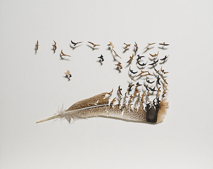 Арт-объекты из птичьих перьев