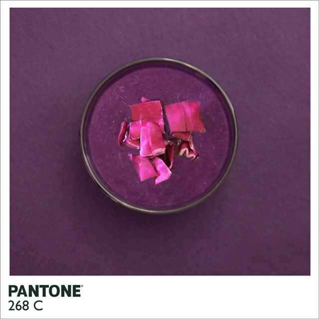 Pantone-Food4.jpeg