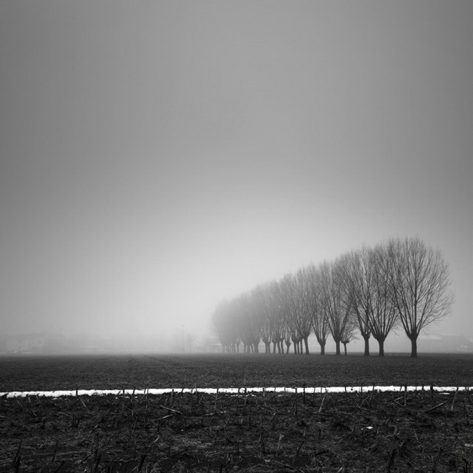 Tree-Landscapes2-640x642.jpg