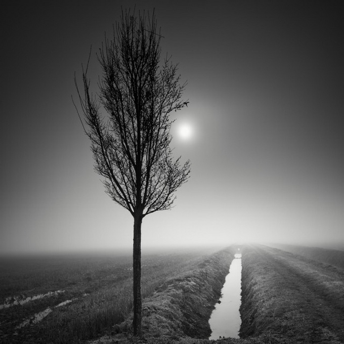 Tree-Landscapes2-640x648.jpg