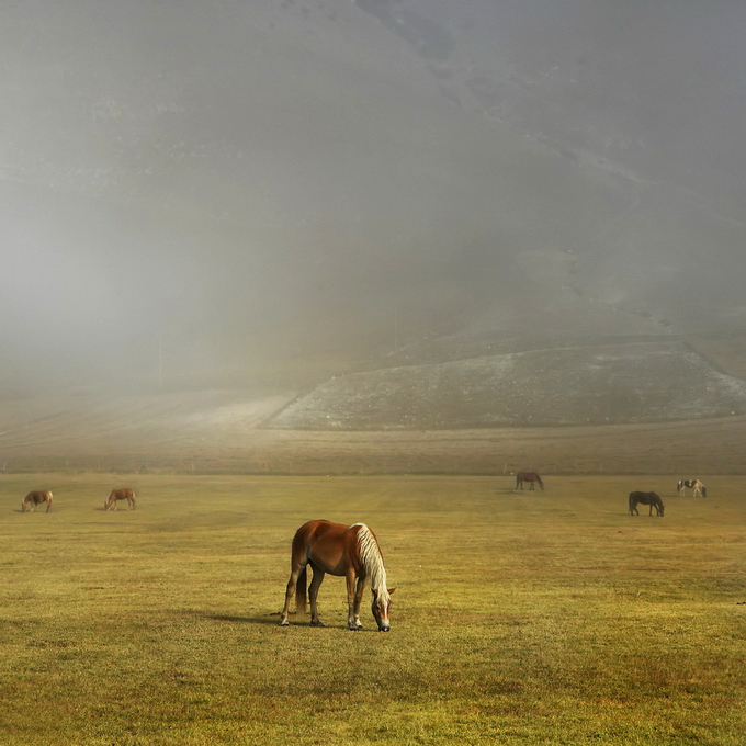 EdmondoSenatore03.jpg