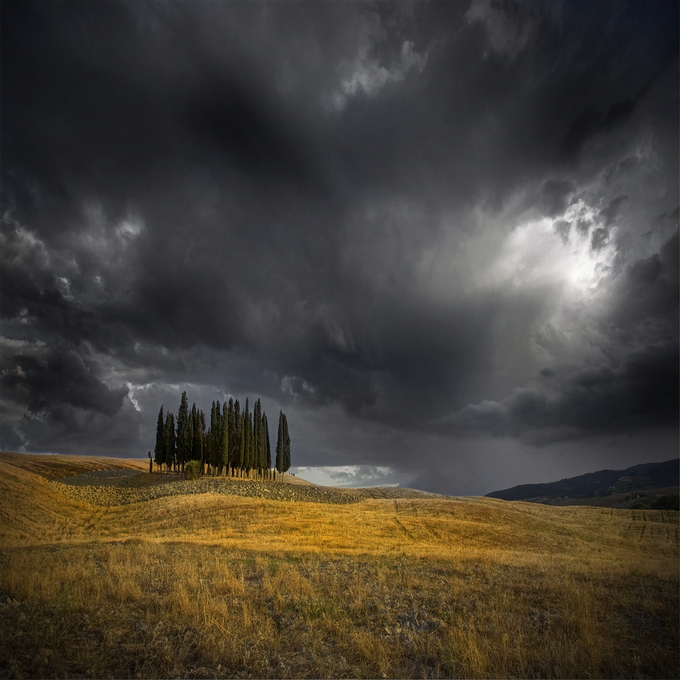 EdmondoSenatore10.jpg