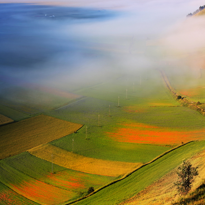 EdmondoSenatore11.jpg