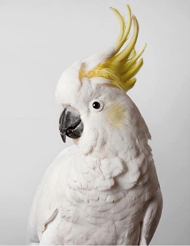 LeilaJeffreys6_.jpg