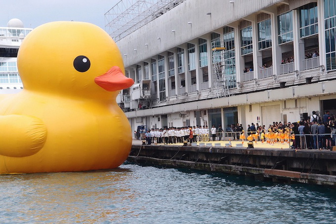 hongkongduck02.jpg