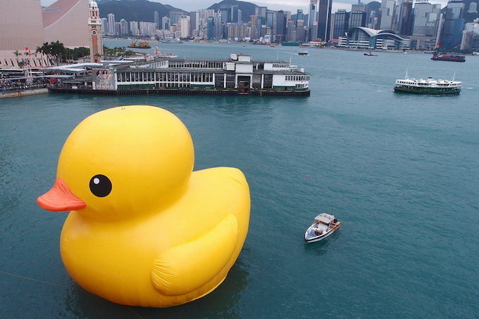 hongkongduck03.jpg