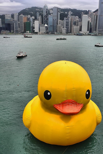 hongkongduck04.jpg