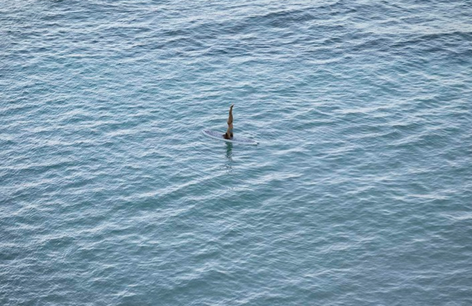 RichardMisrach2.jpg