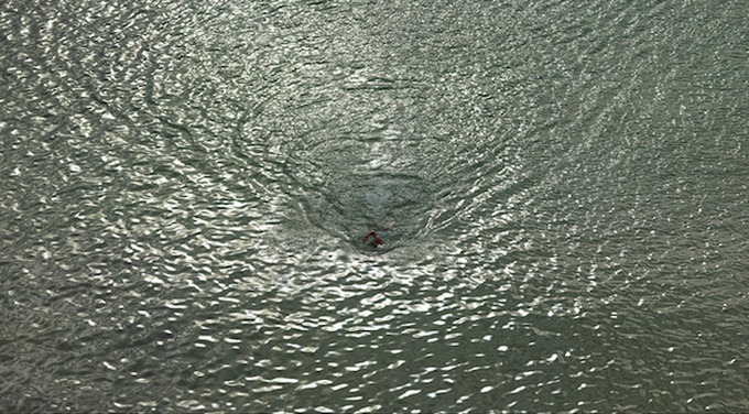 RichardMisrach3.jpg