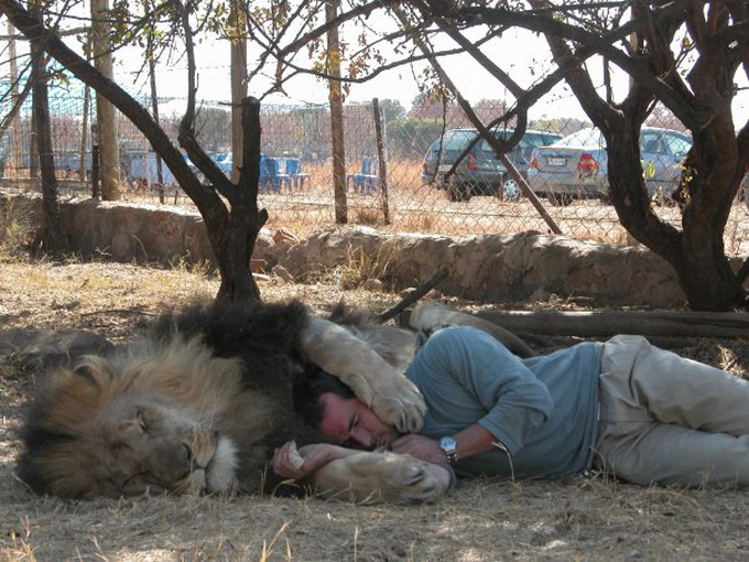 kevinrichardsonthelionwhisperer11.jpg