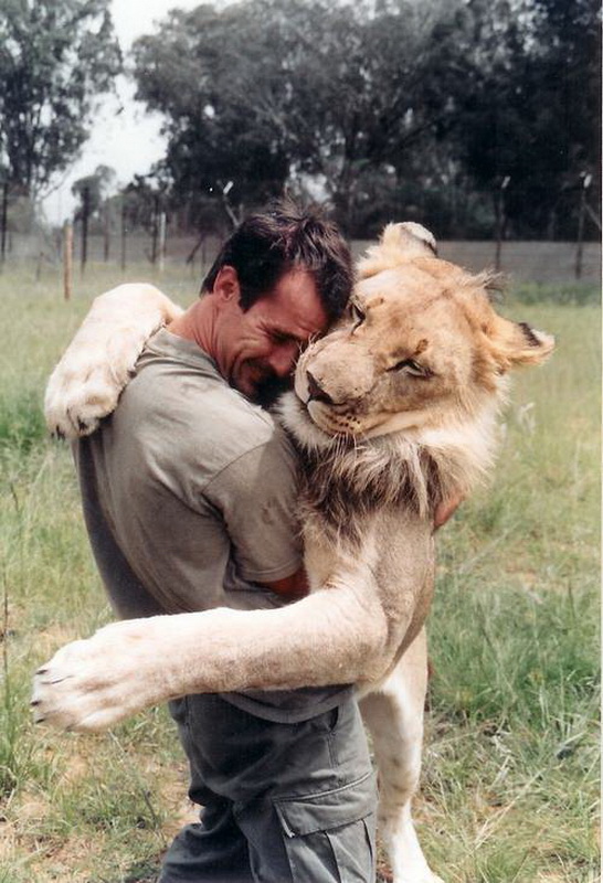 kevinrichardsonthelionwhisperer14.jpg