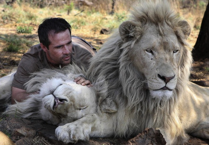 kevinrichardsonthelionwhisperer4.jpg