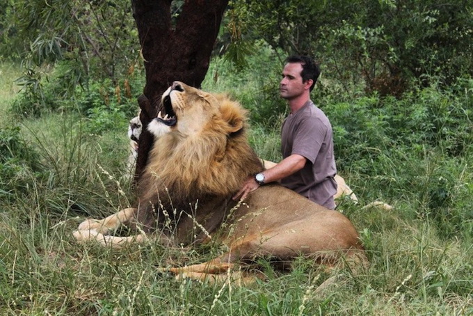 kevinrichardsonthelionwhisperer7.JPG