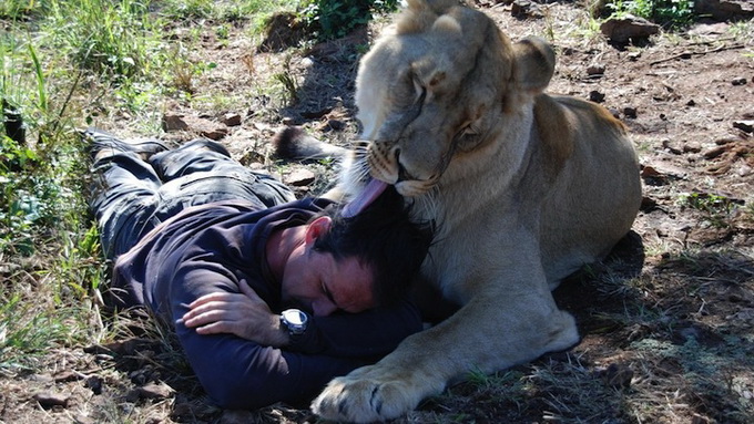 kevinrichardsonthelionwhisperer8.jpg