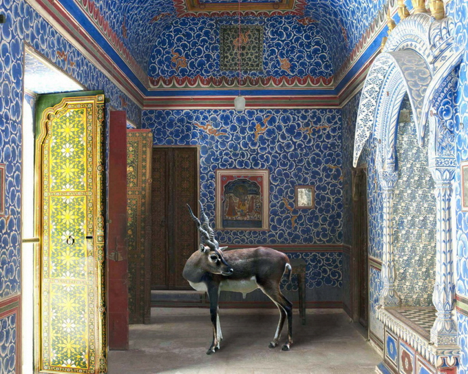 KarenKnorr08.jpg