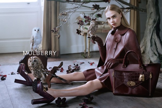 mulberry-fall2.jpg