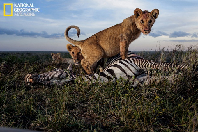 natgeo02.jpg